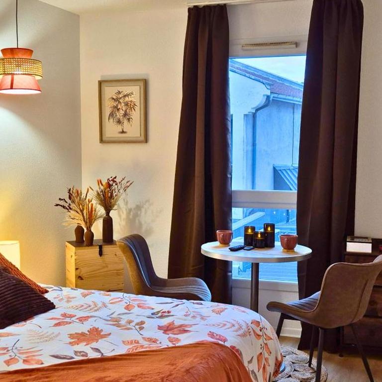 L'Ambre - Moderne - Equipé - Douche - Appartement 1 Chambre - 9