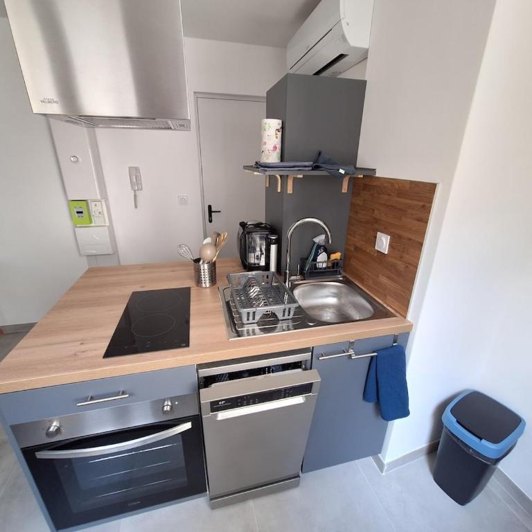 Studio 29 m2 Le Péage de Roussillon - Appartement 1 Chambre - 1