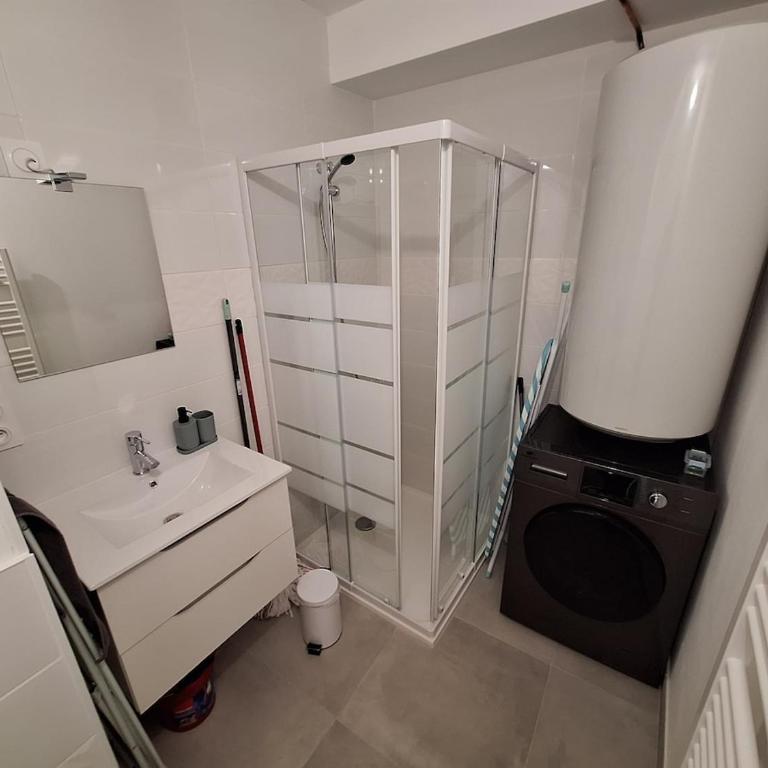 Studio 29 m2 Le Péage de Roussillon - Appartement 1 Chambre - 3