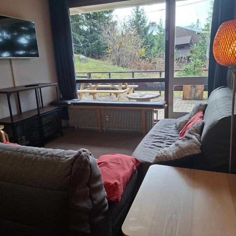 Chamrousse 1750 - Le Taillefer - Appartement classé 3 étoiles - Apartment with Terrace - 1