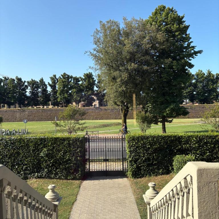 Villa Agnese - Villa - 3