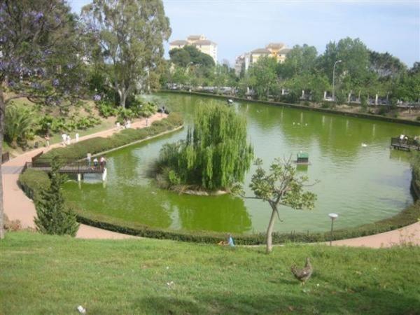 Sol de Benalmádena - Apartamento de 1 dormitorio - 12