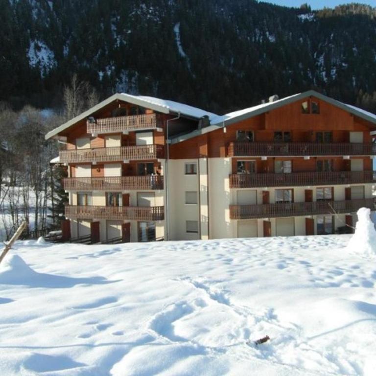 Appartement confortable à Châtel, 3 pièces, pour 5 personnes - FR-1-676-174 - Appartement - 21