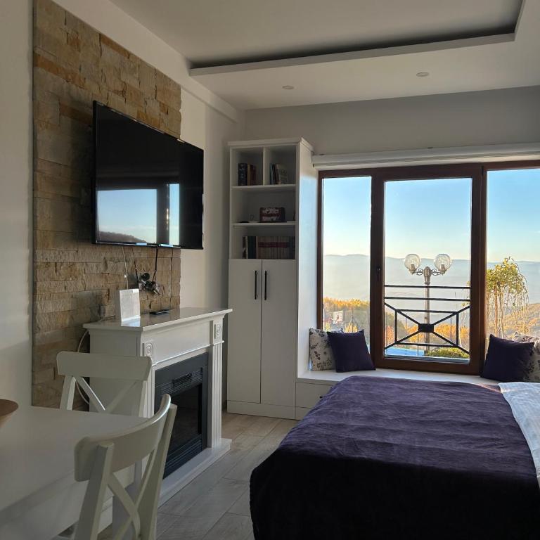 Peak Montana Kopaonik - Studio with Garden View - 13