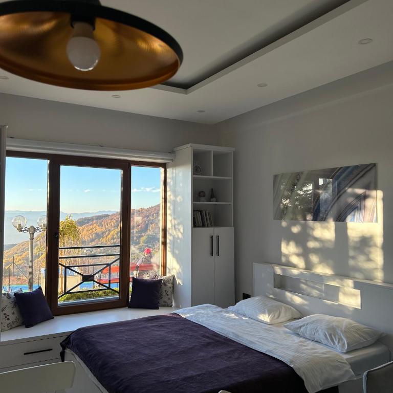 Peak Montana Kopaonik - Studio with Garden View - 15