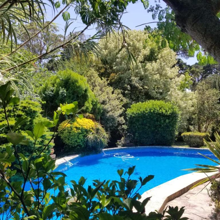 Casa Boulevard 100 - Casa - 6