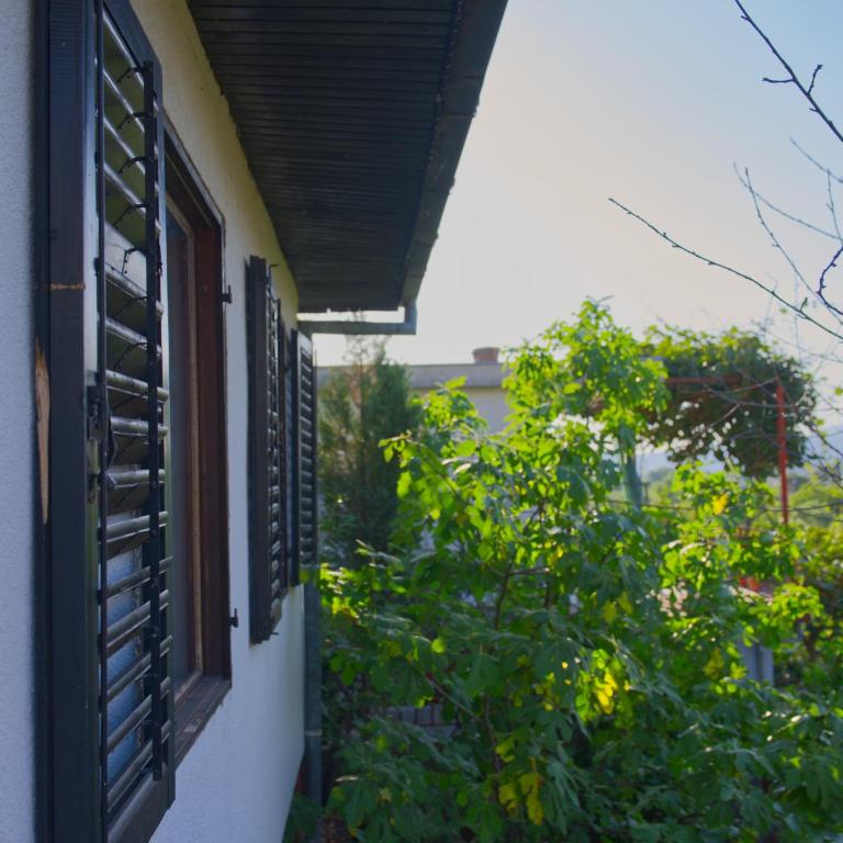 Green Hideaway - One-Bedroom House - 12
