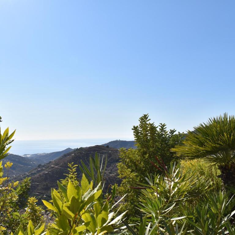Finca Higueron with private Pool - Chalet de 3 dormitorios - 16