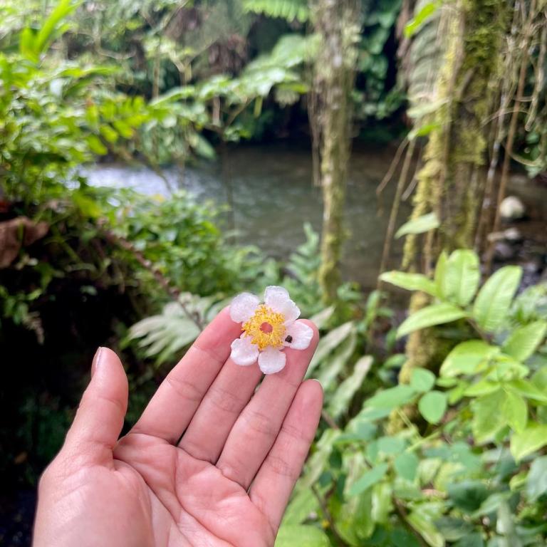 Casa Yaku-Lujo natural Río privado y Jacuzzi - Villa de 3 dormitorios - 60