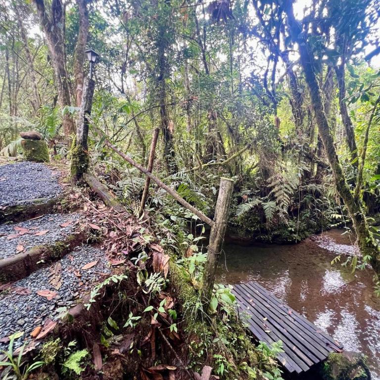 Casa Yaku-Lujo natural Río privado y Jacuzzi - Villa de 3 dormitorios - 8