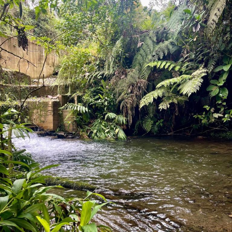 Casa Yaku-Lujo natural Río privado y Jacuzzi - Villa de 3 dormitorios - 66