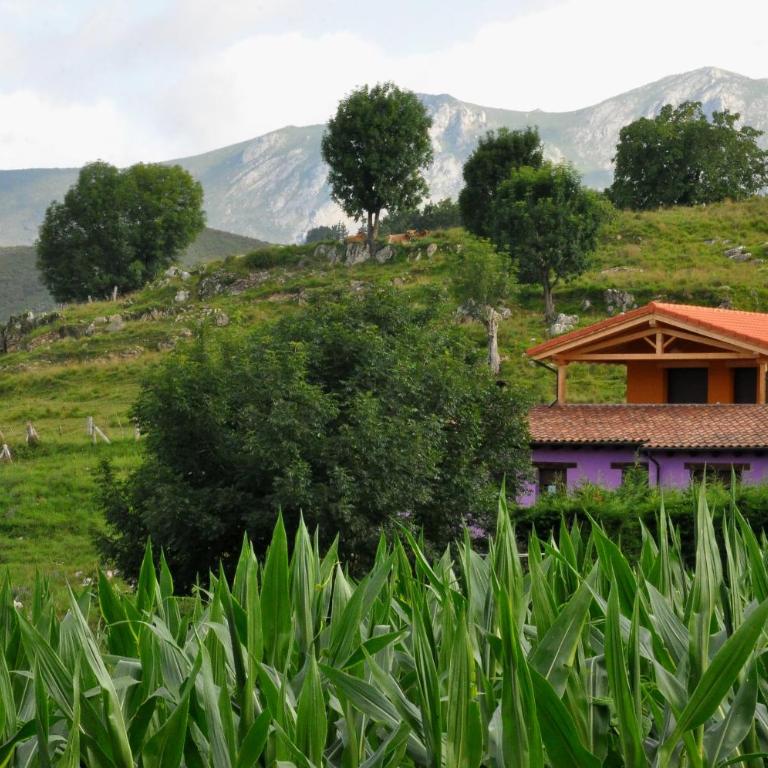 PicuAstur - Casa de 2 dormitorios - 25