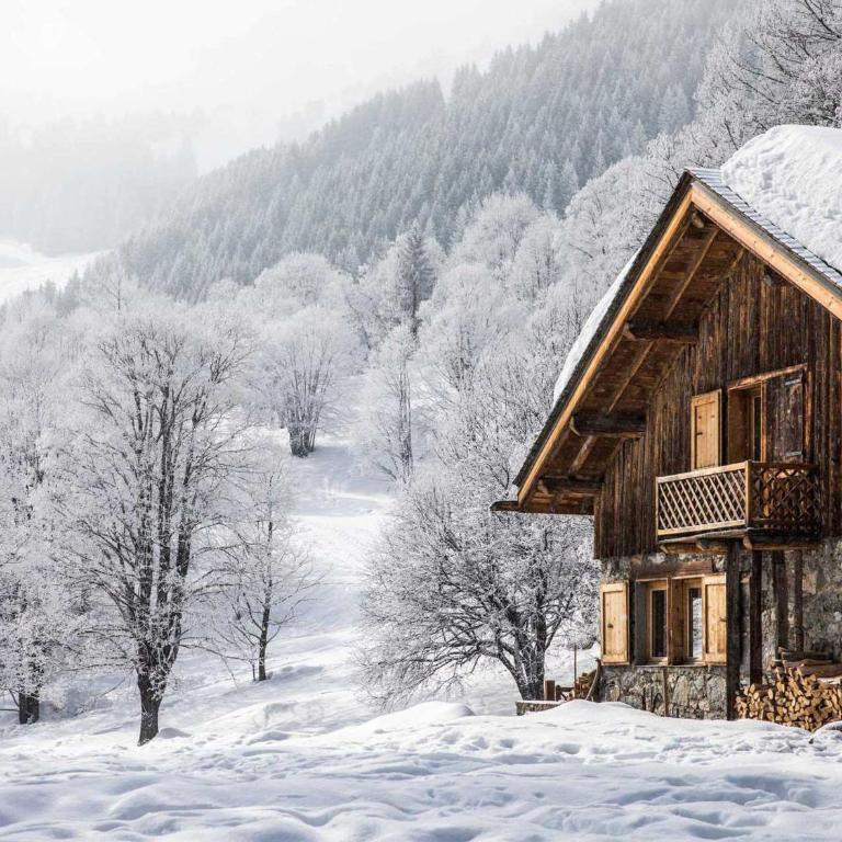 Chalet spacieux à Méribel avec terrasse ensoleillée et cheminée - Chalet 3 Chambres - 15