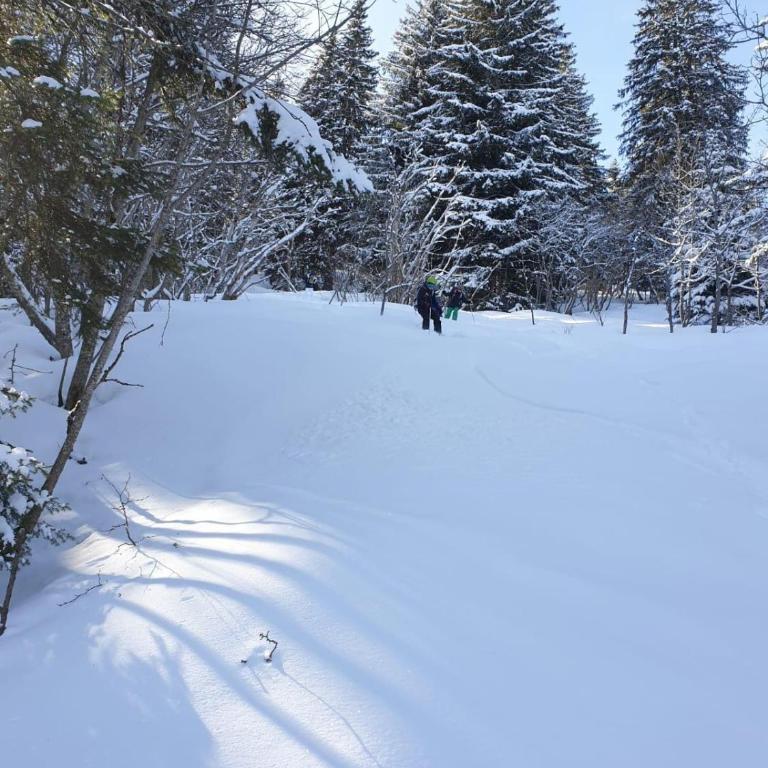 Cascades, 3 bedroom chalet with shared pool. - Maison 3 Chambres - 7