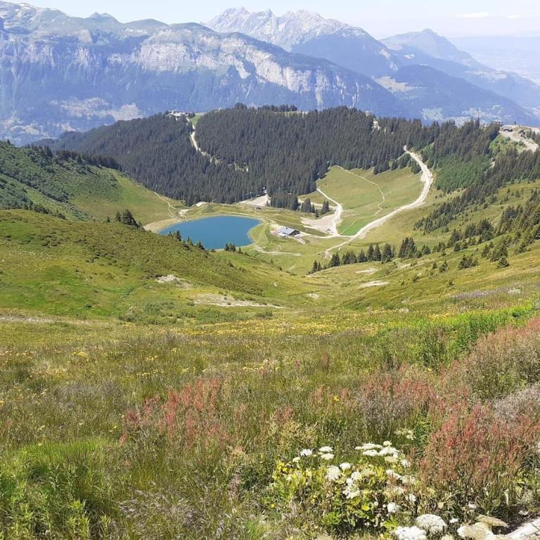 Cascades, 3 bedroom chalet with shared pool. - Maison 3 Chambres - 4