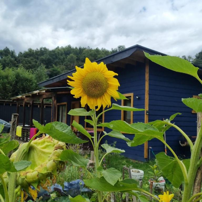 Casa de campo en Llifén - Chalet de 2 dormitorios - 27