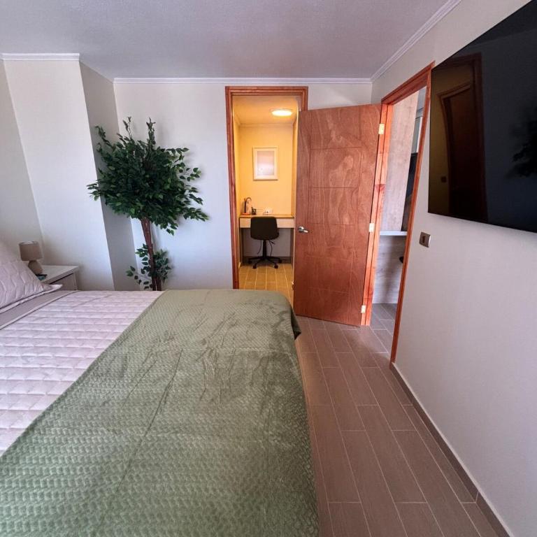 Hermoso departamento remodelado - One-Bedroom Apartment - 3