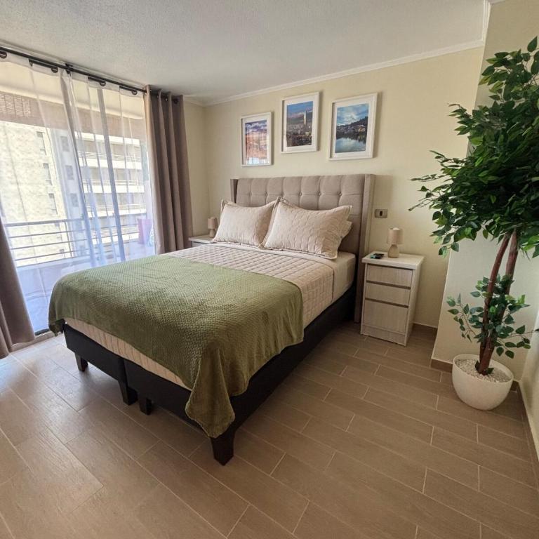 Hermoso departamento remodelado - One-Bedroom Apartment - 35
