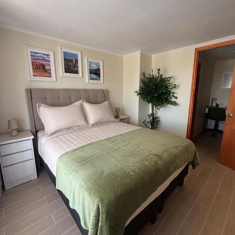 Hermoso departamento remodelado - One-Bedroom Apartment - 57