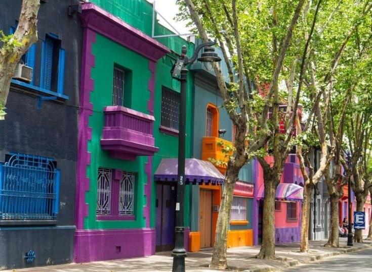 Hermoso departamento remodelado - One-Bedroom Apartment - 69