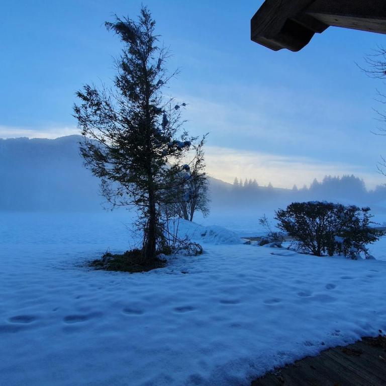 Cascades, 3 bedroom chalet with shared pool. - Maison 3 Chambres - 36
