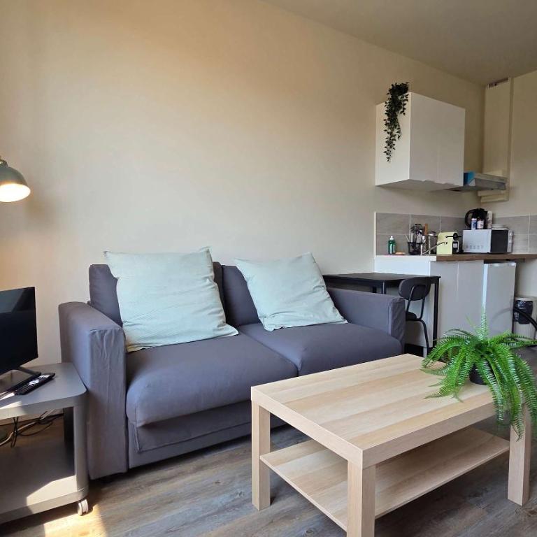 LX155 Roof terrace city center Mobility Lease - Studio - 1