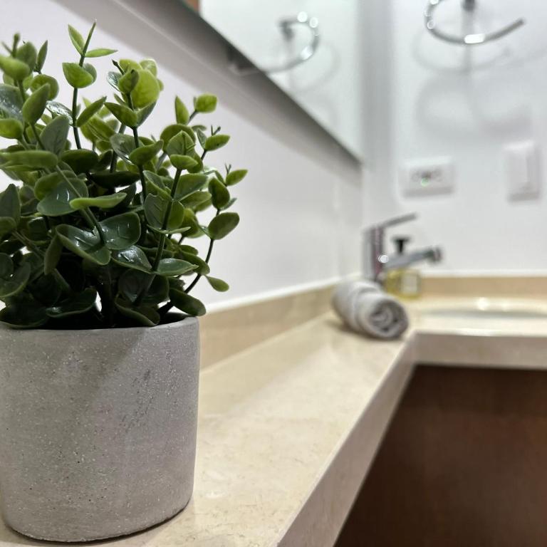 La Macarena - Apartamento de 1 dormitorio - 19