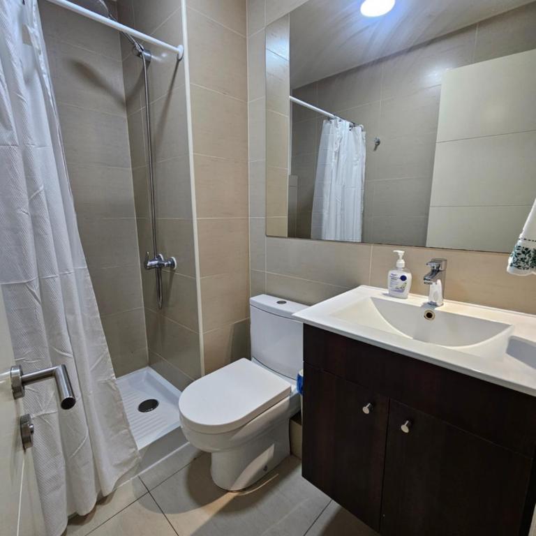 Apartamento Camino Al Volcan - Apartamento de 2 dormitorios - 28