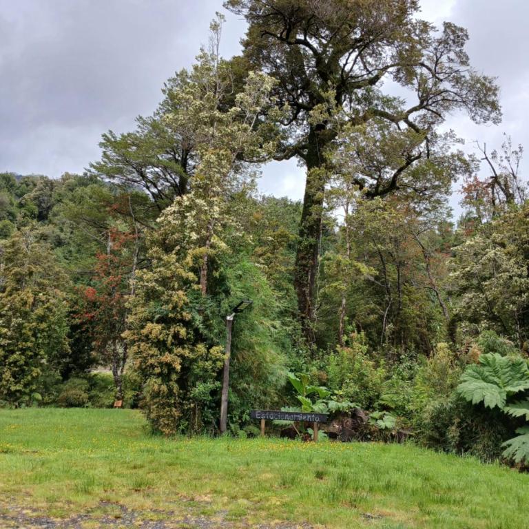 Refugio del bosque - Two-Bedroom House - 5