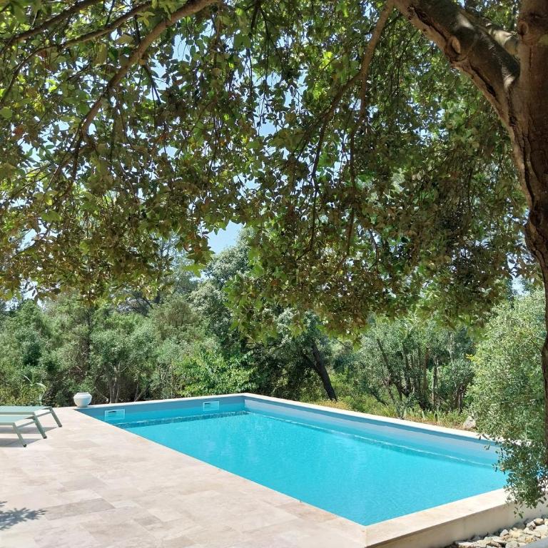 Idéale pour couple - Maison en Provence avec piscine et grand terrain - Maison 1 Chambre - 21