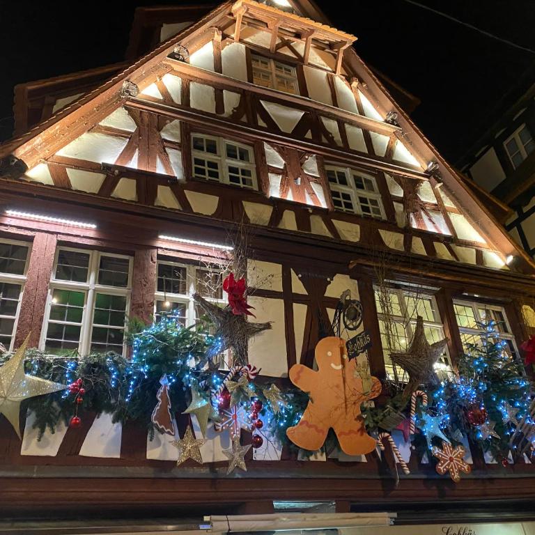 Cosy T2 - Balcon -proche centre ville et Allemagne - Appartamento con 1 Camera da Letto - 34