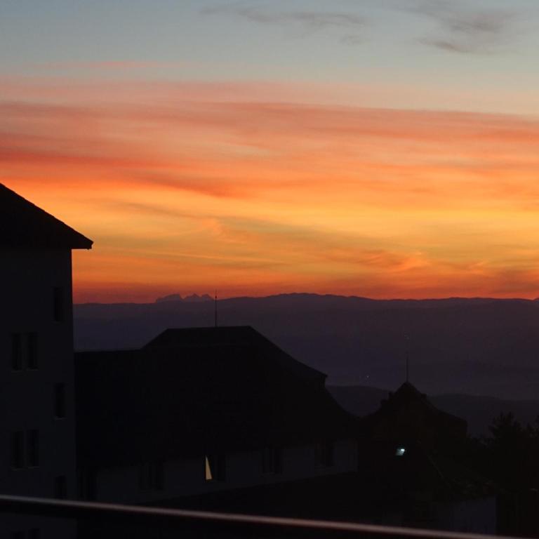 Peak Montana Kopaonik - Studio with Balcony - 12