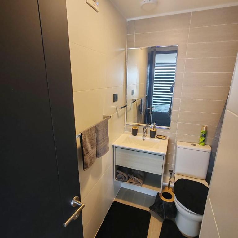 Apartamento Nuevo pleno centro de Concepción, Hermosa vista piso 16 - Apartamento de 1 dormitorio con terraza - 33