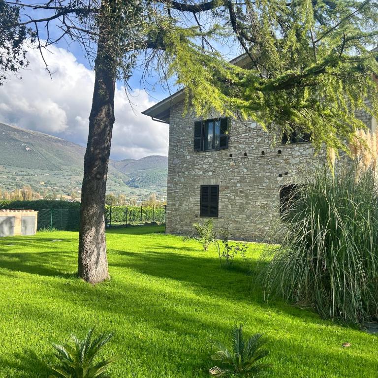 Villa con piscina Assisi - Villa - 3