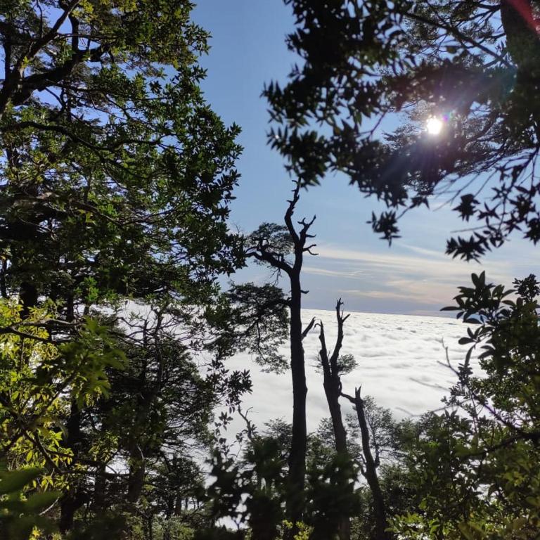 Estancia Lumaco - Casa de 2 dormitorios - 24