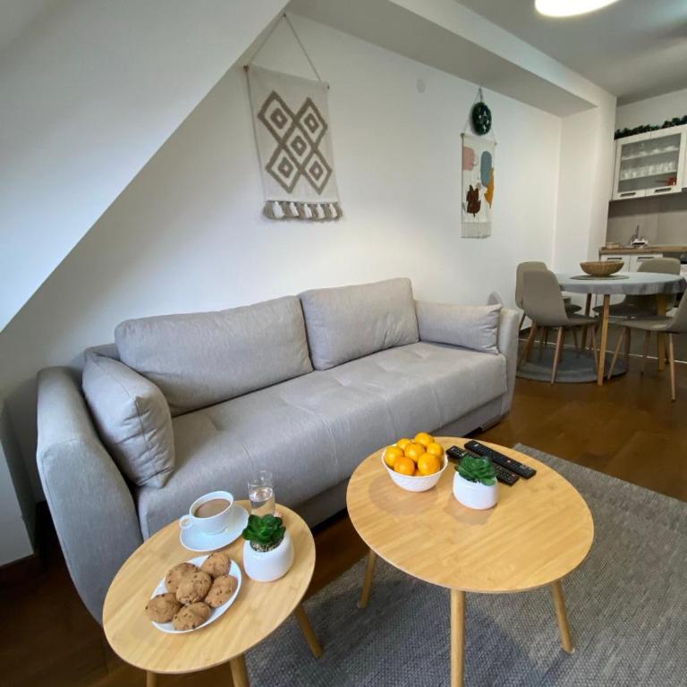 Apartments A83 & C32 - Kraljevi Čardaci - Kopaonik - One-Bedroom Apartment - 25