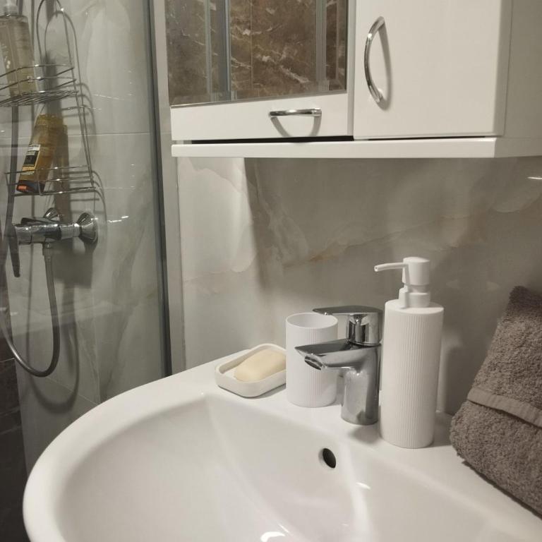 VIGO LUX Studio Vrnjacka banja - Apartman sa 1 Spavaćom Sobom - 11
