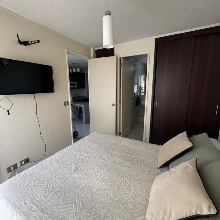 Luminoso y amplio depto cerca Av Alemania - One-Bedroom Apartment - 2