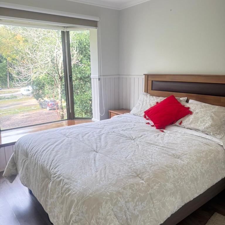 Parque suizo, Pucon - Apartamento de 1 dormitorio - 2