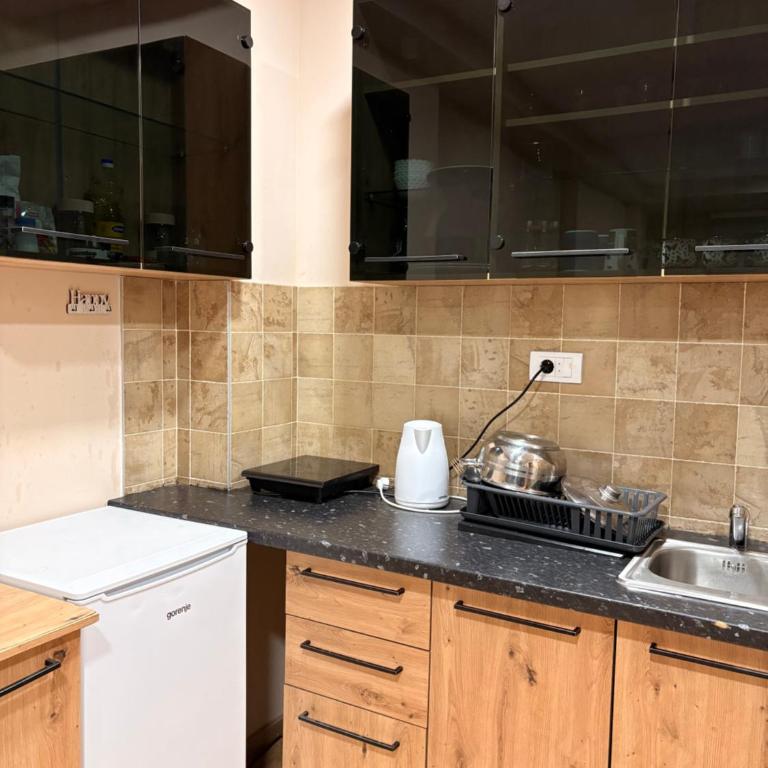 Apartman EkoOaza - Apartman sa 1 Spavaćom Sobom - 5