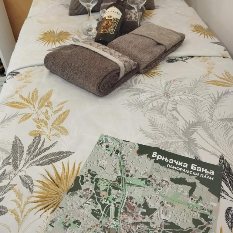 VIGO LUX Studio Vrnjacka banja - Apartman sa 1 Spavaćom Sobom - 20