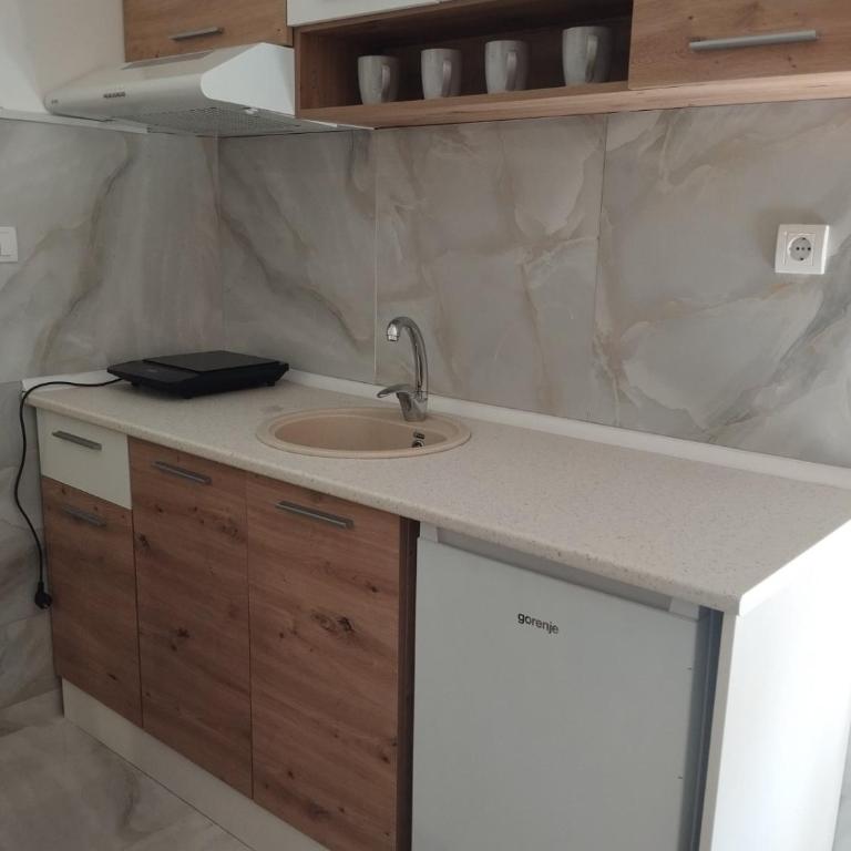 VIGO LUX Studio Vrnjacka banja - Apartman sa 1 Spavaćom Sobom - 18