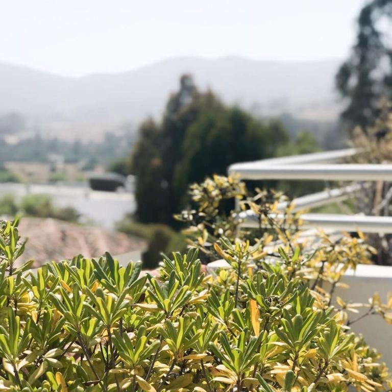 Casapueblo Rent Cachagua CP 23 - Vacation Home - 26