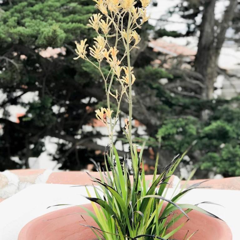 Casapueblo Rent Cachagua CP 23 - Vacation Home - 27
