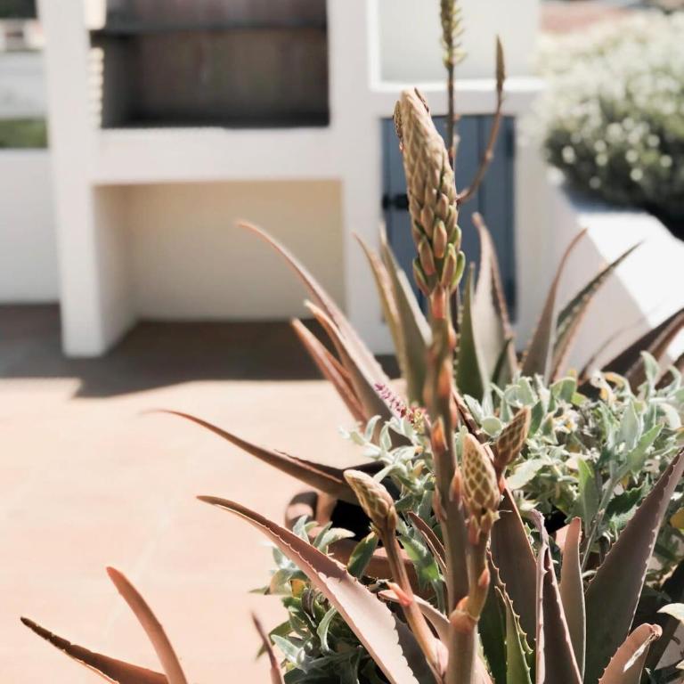 Casapueblo Rent Cachagua CP 02 - Vacation Home - 8