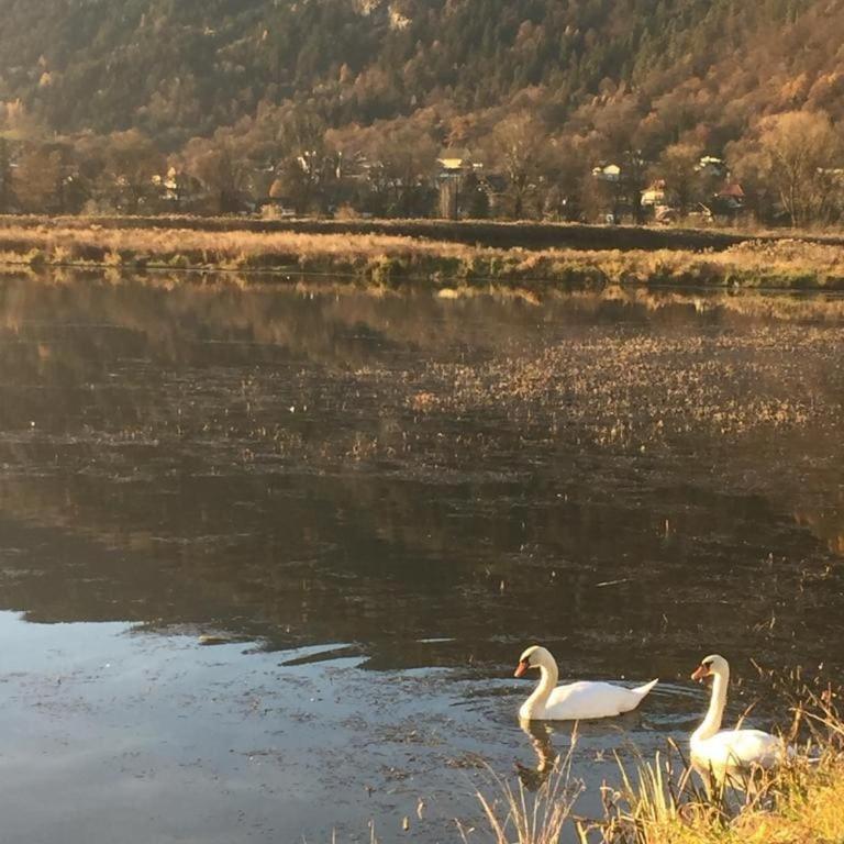 DeliApart Ossiacher See - Apartment mit 1 Schlafzimmer - 32