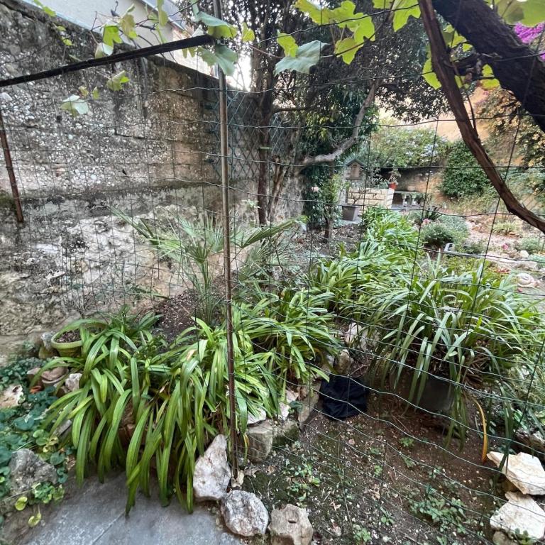 Pasteur, Antibes centre, calme et rénové - Appartement 1 Chambre - 19