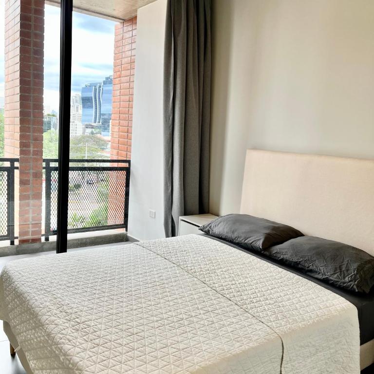 Asuncion Venire - One-Bedroom Apartment - 6