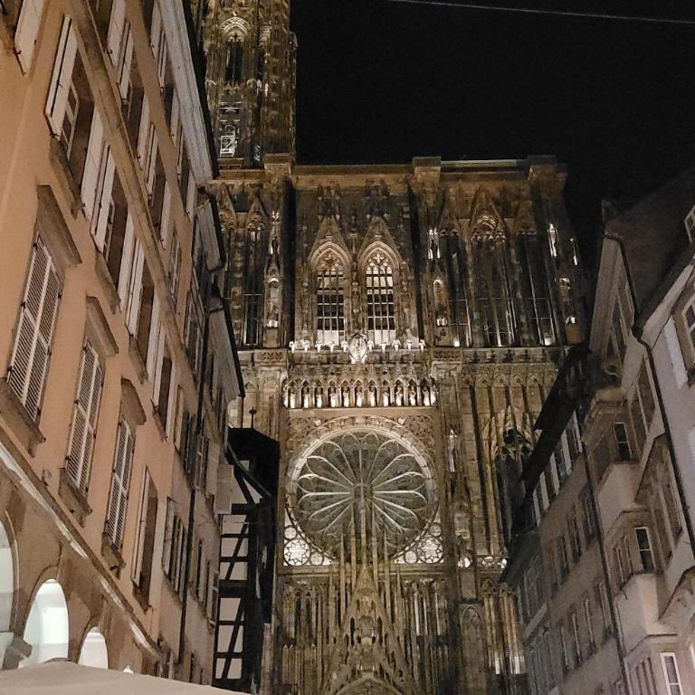Cocon de Charme au pied de la Cathédrale de Strasbourg - Appartamento con 1 Camera da Letto - 25