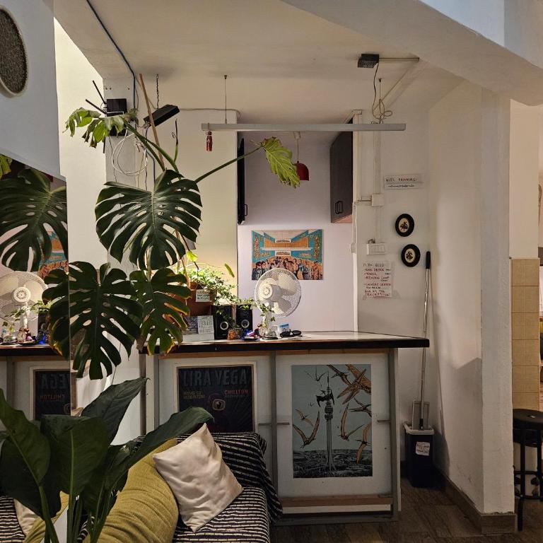 Chillton hostel - Quadruple Room with Private Bathroom - 1